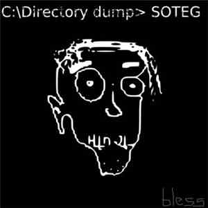 Son Of The Electric Ghost - Directory Dump FLAC