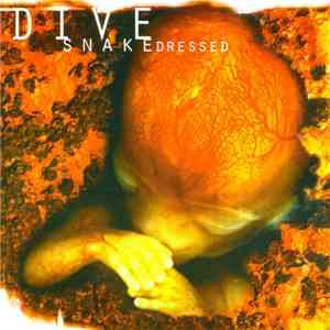 Dive - Snakedressed FLAC