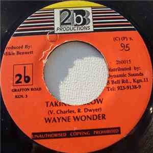Wayne Wonder - Taking It Slow FLAC