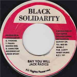 Jack Radics - Say You Will FLAC