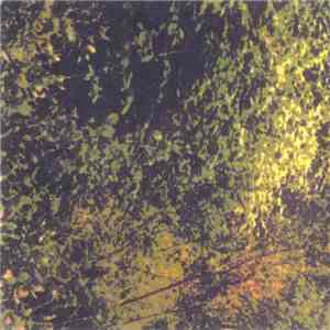 Various - Heat & Birds FLAC