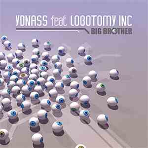 Ydnass Feat. Lobotomy Inc - Big Brother FLAC