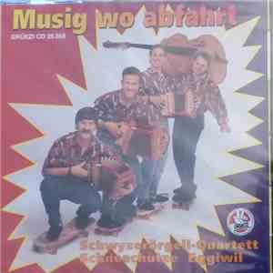 Schwyzerörgeli-Quartett Schneechutze Eggiwil - Musig Wo Abfahrt FLAC
