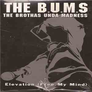 The B.U.M.S. (Brothas Unda Madness) - Elevation / 6 Figures And Up FLAC