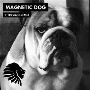 Alan Fitzpatrick - Magnetic Dog FLAC