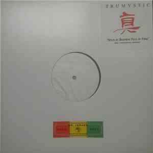 Trumystic - Styles of Basement Files of Funk FLAC