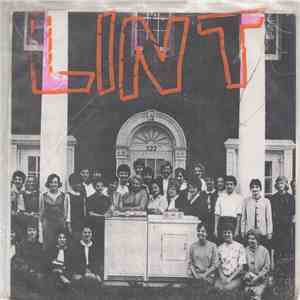 Lint - Lost FLAC