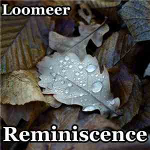 Loomeer - Ambient Reminiscence Of 2011 FLAC