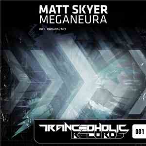Matt Skyer - Meganeura FLAC