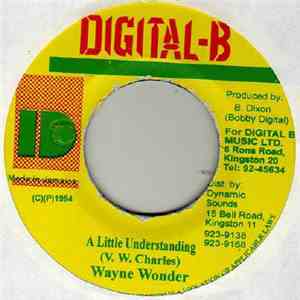 Wayne Wonder - A Little Understanding FLAC
