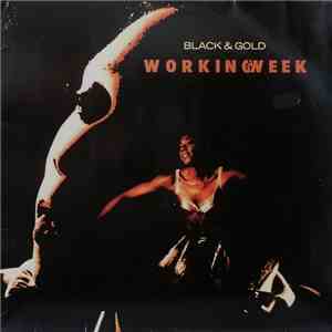 Working Week - Black & Gold FLAC