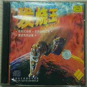 神州电声乐团 - 发烧王 FLAC