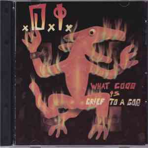 D.I. - What Good Is Grief To A God FLAC