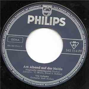 Trio Kolenka - Am Abend Auf Der Heide FLAC