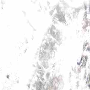 No-Mind - Degree Absolute FLAC