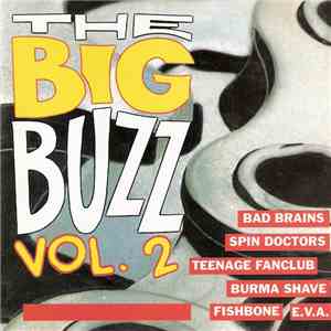 Various - The Big Buzz Vol.2 FLAC
