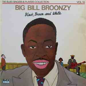 Big Bill Broonzy - Black, Brown And White FLAC