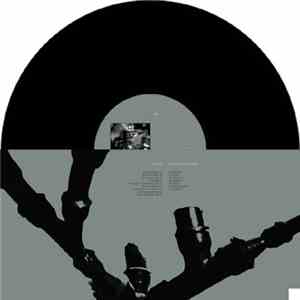 Tempers Rise / Los Asesinos De La Superficialidad - Split FLAC