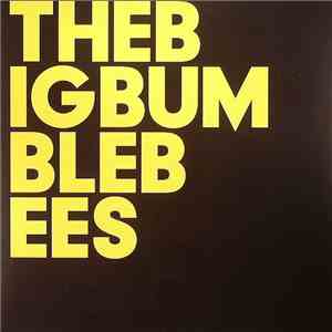 The Big Bumble Bees - The Big Bumble Bees FLAC