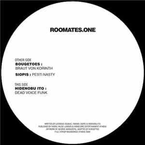 Various - Roomates One FLAC