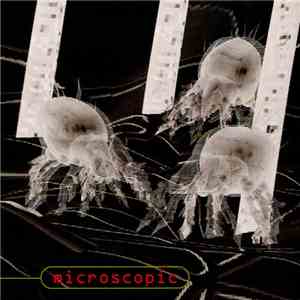 Download - Microscopic FLAC
