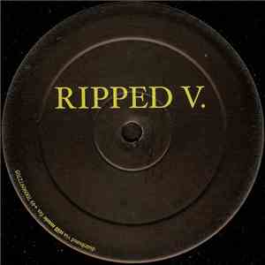 Michael Burkat - Ripped V FLAC