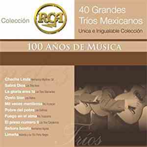 Various - 40 Grandes Trios Mexicanos FLAC