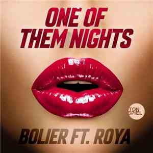 Bolier feat. Roya  - One Of Them Nights FLAC