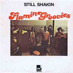 Flamin Groovies - Still Shakin FLAC