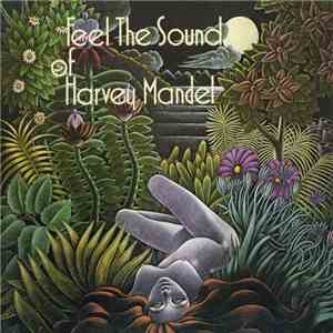 Harvey Mandel - Feel The Sound Of Harvey Mandel FLAC