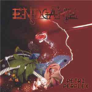 Endgame - Petri Perplex FLAC