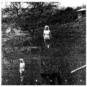 Rohit  - Window FLAC