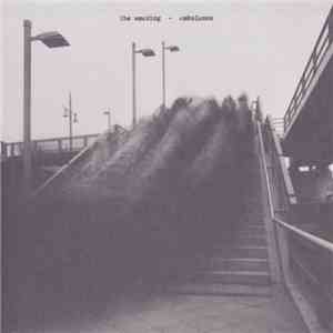 The Amazing - Ambulance FLAC