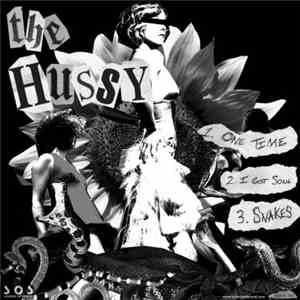 The Hussy and Sleeping In The Aviary - Split 7" FLAC