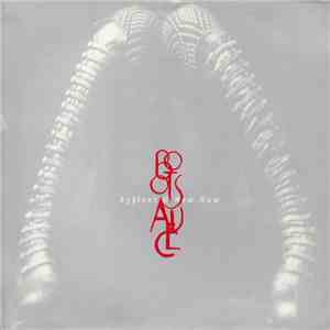 Bootsauce - Byfleet & New Haw FLAC