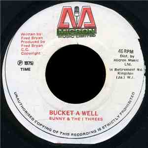 Bunny & I Threes, The - Bucket A Well FLAC
