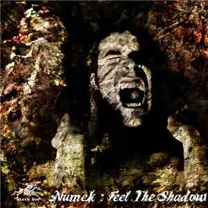 Numek - Feel The Shadow FLAC