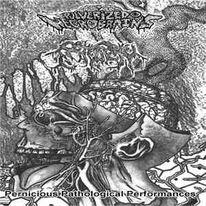 Pulverized Necrobrains / Patisserie - Pernicious Pathological Performances FLAC