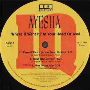 Ayesha - Where Do You Want It? In Your Head Or Ass! FLAC