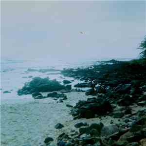 Celer - Advert Subversion FLAC