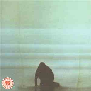 Foals - What Went Down FLAC