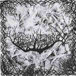 Korgonthurus - Root Of Evil FLAC