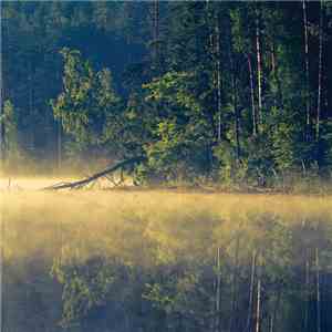 Oneirogen - Plenitude FLAC