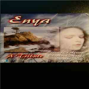 Unknown Artist - Enya A Tribute FLAC