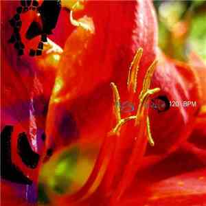 Virgo Intacta - 120 BPM FLAC