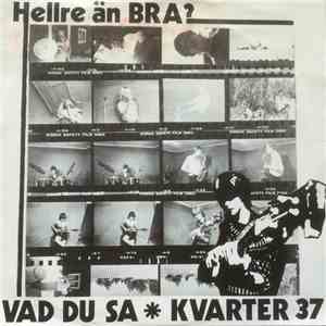 Hellre Än Bra? - Vad Du Sa FLAC