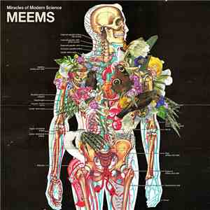 Miracles Of Modern Science - MEEMS FLAC