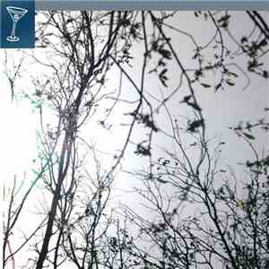 Various - Discordian Dreaming 7 FLAC
