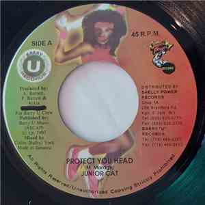 Junior Cat - Protect You Head FLAC