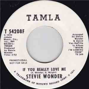 Stevie Wonder - If You Really Love Me FLAC